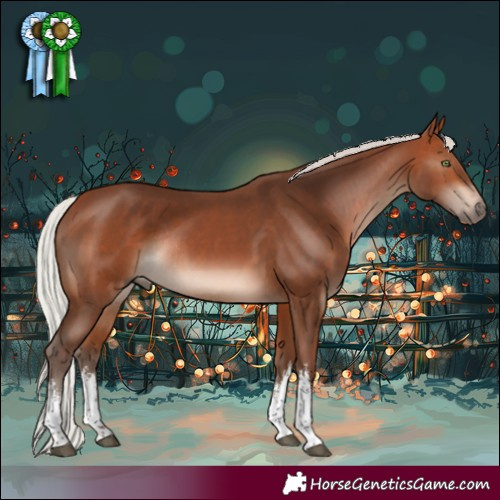 Horse Color:White Spotted Silver Brown Rabicano 