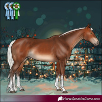 Horse Color:White Spotted Silver Brown Rabicano