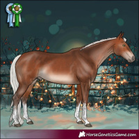 Horse Color:White Spotted Silver Brown Rabicano 