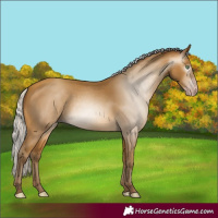 Horse Color:Gray Silver Amber Cream Champagne