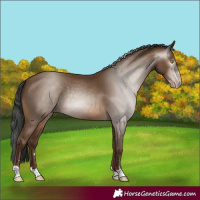 Horse Color:Gray Amber Champagne