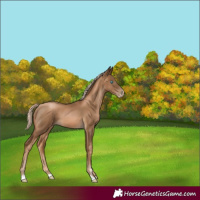 Horse Color:Gray Chocolate Palomino Pearl