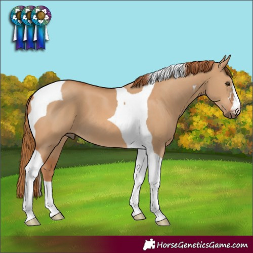 Horse Color:Red Dun Tobiano