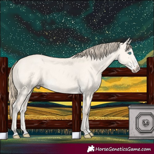 Horse Color:Perlino Dun Splash 