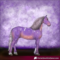 Horse Color:Watercolor White Spotted Silver Black 
