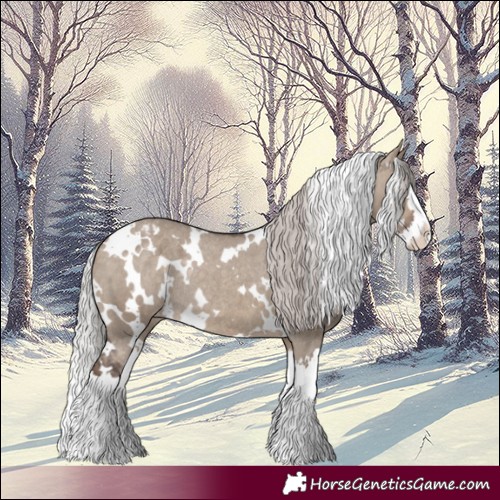 Horse Color:White Spotted Silver Brown Dun Splash Varnish Rabicano 