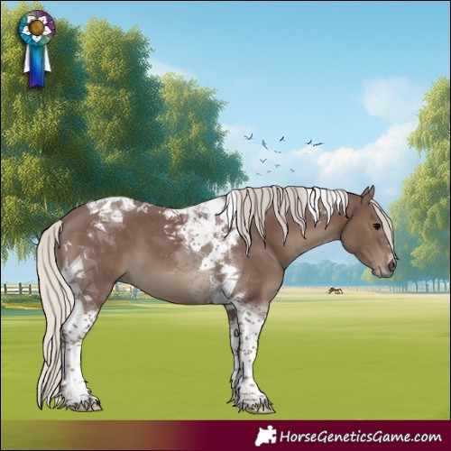 Horse Color:Silver Black Tobiano 