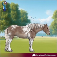 Horse Color:Silver Black Tobiano 