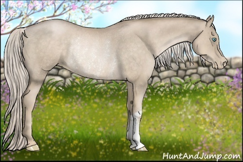 Horse Color:Chocolate Palomino Pearl Rabicano 