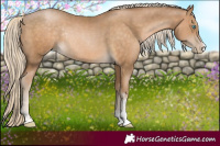 Horse Color:Chocolate Palomino Pearl Rabicano