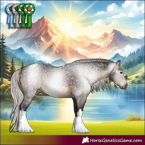 Horse Color:Gray White Spotted Silver Brown Tobiano Appaloosa Rabicano 