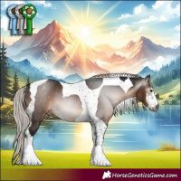 Horse Color:Gray White Spotted Silver Brown Tobiano Appaloosa Rabicano