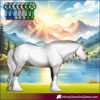 Horse Color:Gray White Spotted Silver Brown Tobiano Varnish Rabicano 