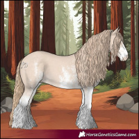 Horse Color:White Spotted Perlino 