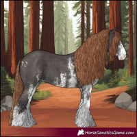 Horse Color:White Spotted Liver Chestnut 