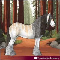Horse Color:White Spotted Buckskin Dun 
