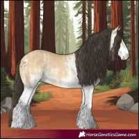 Horse Color:White Spotted Buckskin Dun 