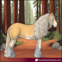 Horse Color:White Spotted Palomino 