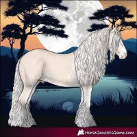 Horse Color:White Spotted Cremello 