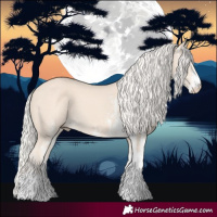 Horse Color:White Spotted Cremello 