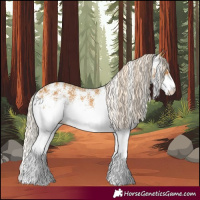 Horse Color:White Spotted Palomino 