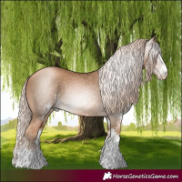 Horse Color:Gray White Spotted Chocolate Palomino Pearl