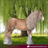 Horse Color:Gray White Spotted Chocolate Palomino Pearl 