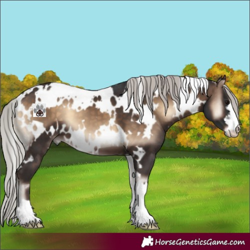 Horse Color:White Spotted Silver Brown Onyx 