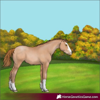Horse Color:Brown Pearl 