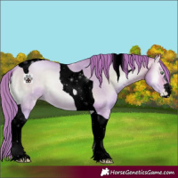 Horse Color:Void Watercolor Buckskin Pearl Onyx Tobiano 