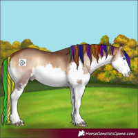 Horse Color:Painted Bay Onyx Splash 