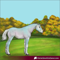 Horse Color:Watercolor Silver Brown Onyx