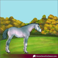 Horse Color:Watercolor Bay Onyx