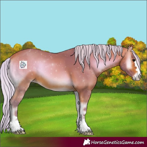 Horse Color:Watercolor Silver Bay Onyx