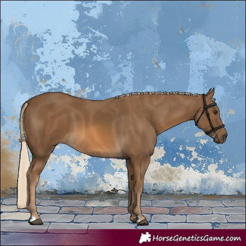 Horse Color:Chocolate Palomino