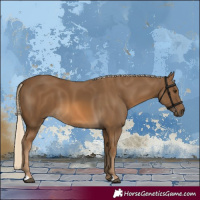 Horse Color:Chocolate Palomino 