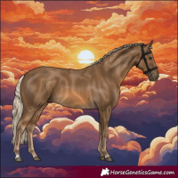 Horse Color:Chocolate Palomino 