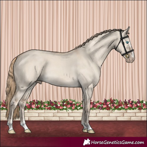 Horse Color:Smoky Creme Dun 