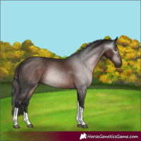 Horse Color:Gray Liver Chestnut Tobiano 