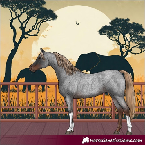 Horse Color:Liver Red Roan Tobiano