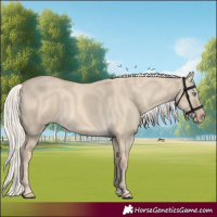 Horse Color:Cremello Dun 