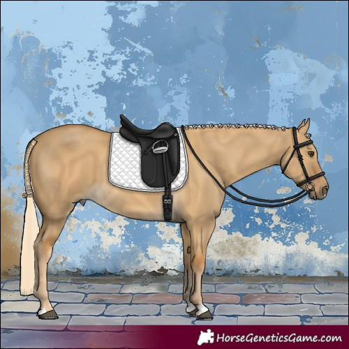 Horse Color:Palomino Dun 