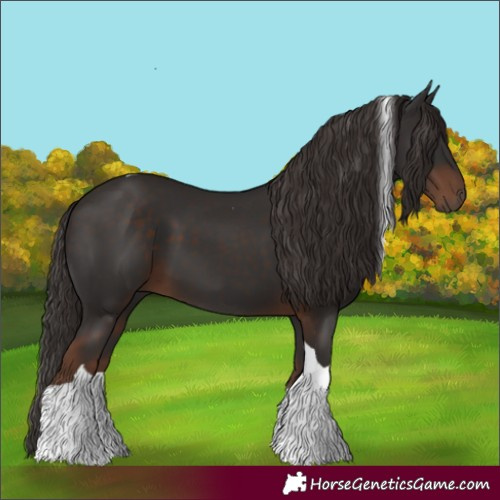 Horse Color:Liver Chestnut Tobiano 