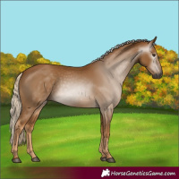 Horse Color:Gray Palomino 