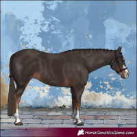 Horse Color:Liver Chestnut and Liver Chestnut