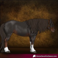 Horse Color:Liver Chestnut Tobiano 