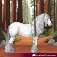 Horse Color:White Spotted Bay Splash