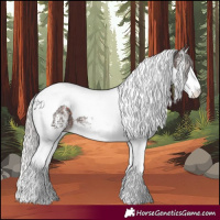 Horse Color:White Spotted Silver Brown Splash Tobiano 
