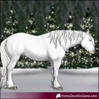 Horse Color:Cremello Appaloosa
