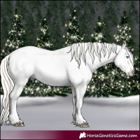 Horse Color:Cremello Appaloosa 